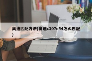 奥迪匹配方法(奥迪c107e54怎么匹配)