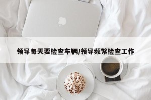领导每天要检查车辆/领导频繁检查工作