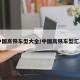 中国高铁车型大全/中国高铁车型汇总