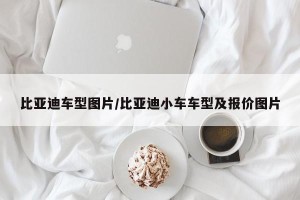 比亚迪车型图片/比亚迪小车车型及报价图片
